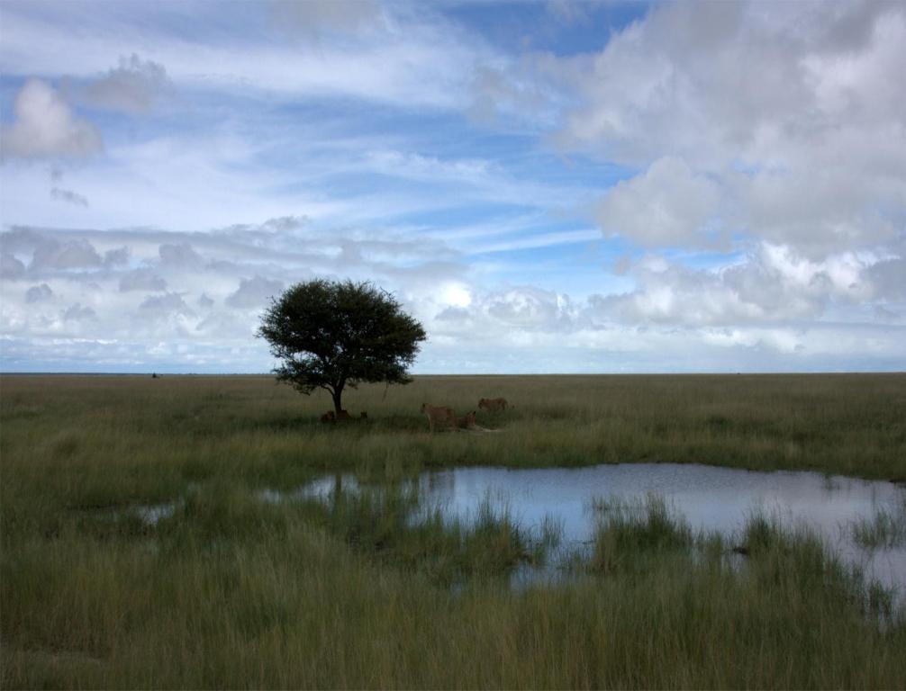 Mokuti Etosha Villa Namutoni Exterior photo